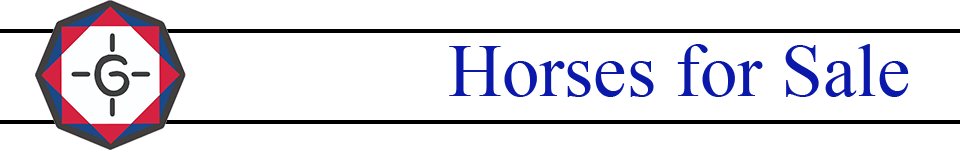Horses for Sale