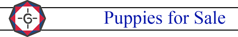 Giefer English Shepherd Puppies for Sale