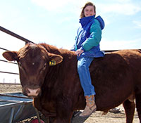 Giefer Ranch Red Angus Kansas