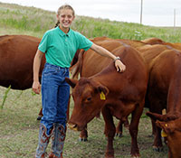 Giefer Ranch Red Angus Kansas