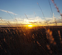 Giefer Ranch Kansas