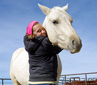 Giefer Ranch Quarter Horses Kansas