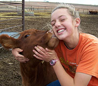 Giefer Ranch Red Angus Kansas