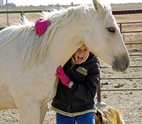 Giefer Ranch Quarter Horses Kansas