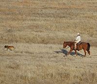 Giefer Ranch Kansas