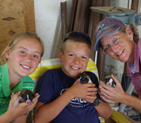Giefer Ranch English Shepherds Kansas