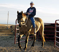 Giefer Ranch Quarter Horses Kansas