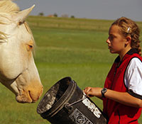 Giefer Ranch Quarter Horses Kansas