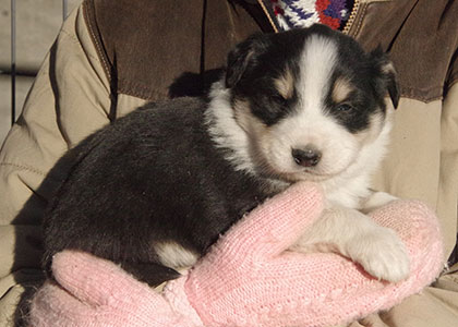 Dugan